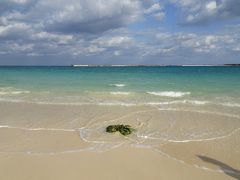 早朝のパイナガマビーチで散歩をして池間島でブルーシールアイス、サトウキビも見られる島尻のマングローブ林/沖縄・宮古島