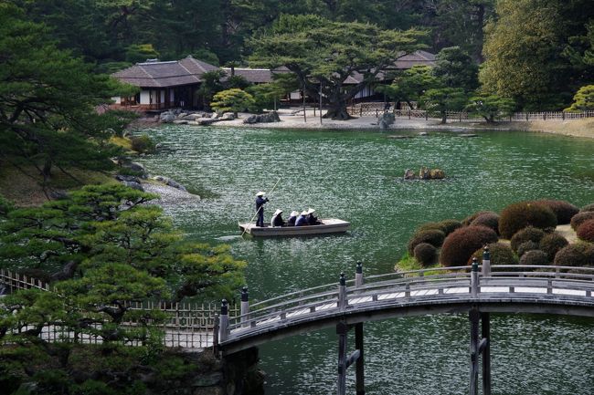 我が家の白梅が見ごろになると栗林公園の梅が気になり、ちょっと出かけてきました。