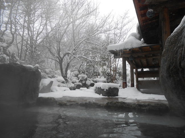 2013年の暮れから友人と3月に旅行しようという計画があって、当初は北海道に1泊2日の旅行する予定でした。<br />しかし時間的にも金銭的にもちょっと厳しくなったので、どっか近場で温泉でも入ろうかという話に。<br />せっかくのこの季節、温泉なら雪見がいいねということで、近くて雪もたくさんある水上温泉に決定しました。<br />