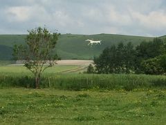 イギリス：UK2014-Wiltshire（ウィルトシャー州）～ドイツでの結婚式からハネムーンイギリスへ⑨　セントマイケルズレイラインの旅－４　ヒルフィギュア（ホワイトホースの地上絵）～