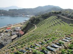 【2016路線バスの旅】　宇和島　遊子水荷浦の「段畑」へ