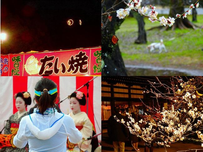 京都市内の２月の風物詩 今出川 北大路 北野 京都 の旅行記 ブログ By Koumeさん フォートラベル