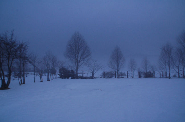 初めての雪中キャンプで一夜を明かしました。雪中キャンプは、テントの中を暖かくすれば、すこぶる快適です。暖かい時期には、お日様が昇るとすぐにテントの中が暑くなってしまうのですが、外が寒いので、テントの中が暑くなることもなく快適に過ごすことができました。<br /><br />なお、このアルバムは、ガンまる日記：なめてはいけない雪中キャンプ（後編）[http://marumi.tea-nifty.com/gammaru/2016/03/post-f33d.html]<br />とリンクしています。詳細については、そちらをご覧くだされば幸いです。