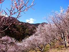 【青春１８きっぷ日帰り】湯河原梅林と日帰り温泉