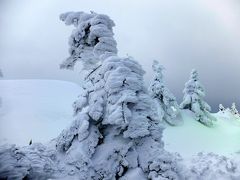 「　ロープウエイで樹氷原　と　朝一番の雪上車で蔵王の樹氷原へ　」　2016