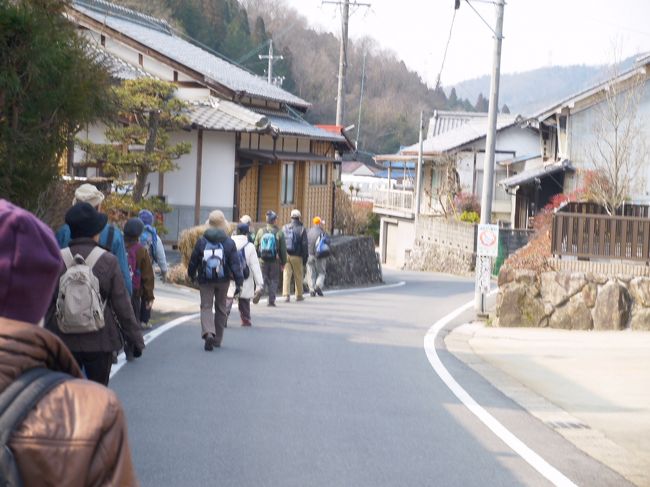 「歴史街道を歩く会」の２月例会に参加しました。今回は、恵那市のＪＲ武並駅から瑞浪市のＪＲ釜戸駅までのコースです。１２月例会でＪＲ武並駅まで歩きまして、その続きを歩きました。タイトルで下(ｼﾀ)街道とふり仮名を付けましたが、(ｼﾓ)街道とも呼ばれているようです。中仙道が上(ｳｴ)街道とか(ｶﾐ)街道と呼ばれ、それに呼応した、言い方です。伊勢神宮へ参詣するのに歩かれて、伊勢街道とか善光寺へのお参りに歩かれて善光寺街道と呼ばれているようです。<br /><br /><br /><br /><br />感想<br />ＪＲ武並駅からＪＲ釜戸駅までの１区間。７キロほどを歩きました。<br />春を迎える時期的でして、民家の庭先で沈丁花や福寿草を目にすることが出来ました。八重の椿。満開の梅も美しかったです。オバアチャンから「からすみ」を戴きましたが、このことは、思わぬ出来事でした。<br />今回、歩いたコースは下街道ですが、国道１９号線。それに中央高速道路が平行しています。何れも「道」ですが、新旧の道が平行しています。それに土岐川と中央線も平行していると言う地形です。<br />そのような道で、最も古い道を歩きました。沿線に常夜灯や馬頭観音が点在し往時を偲ぶ事が出来ました。<br />また、中央線が平行しており、この近辺は鉄道写真を撮影するポイントが多い場所だと感じました。それに明治の鉄道遺跡部分を目にする事も出来て良かったです。<br />今回歩いた下街道は参拝で歩く庶民の街道です。そんな街道を時代を思いながら歩けました。<br />  <br /><br /> 