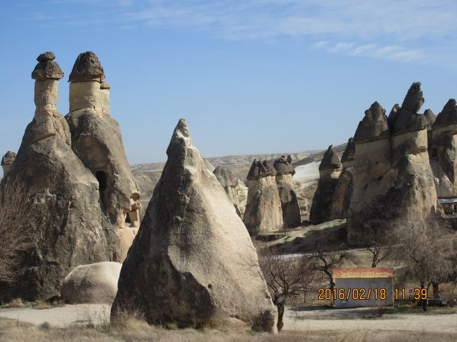 トルコ周遊の旅は前半の最大の目的地・世界遺産・絶景の「カッパドキア」に来ました。「セルベの谷・ウチヒサール・３姉妹の岩・ラクダ岩」とバスは走り、そして下車しての観光になります。写真でご覧ください。<br />早朝にホテル前で・バルーン・のフワフワ撮影を下から撮りました。バルーン観光は前回に来たときは有りませんでした。<br />昼食はニジマスのグリル（塩焼き）で外国では珍しく魚料理です。日本人ですねホットします。<br />食後は世界遺産の絶景を撮りまくりました。最高の天気、最高のロケーション、ありがたく感謝します。観光後、トルコの伝統工芸「トルコ絨毯」の織物工場見学・ここで「織姫」美女の登場・許可を得ましたので、お名前のサイン付きで写真を載せますが、私の美学の自己判断かもしれませんことはお許し下さい。トルコ絨毯からアヴｱノス特産の陶器工房見学を終えてこの日の観光は終わりました。<br /><br />写真は「カッパドキア」のワンショット。