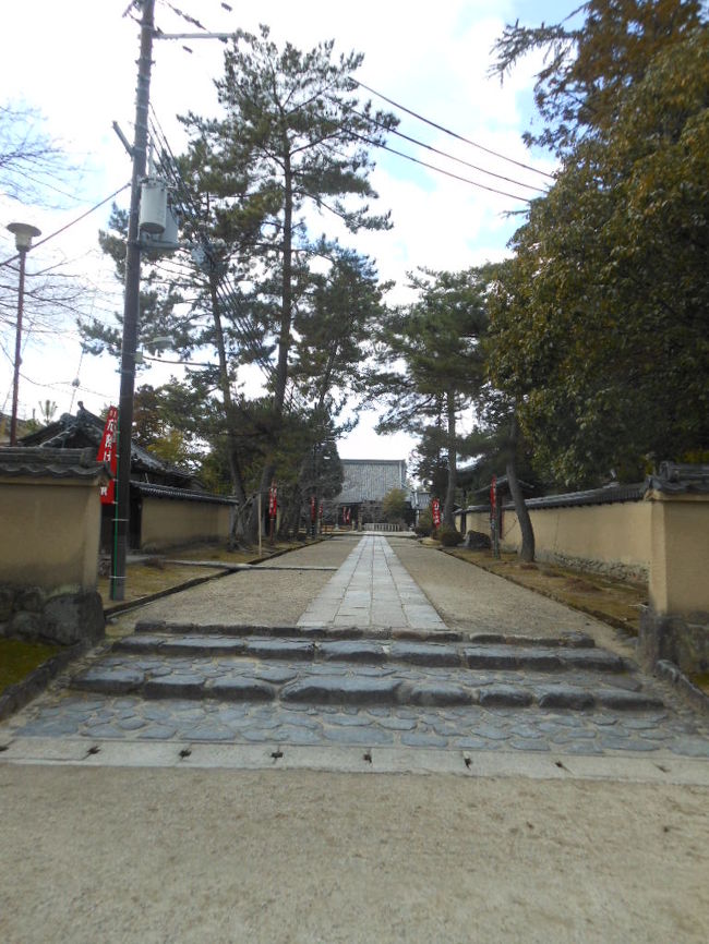 　<br />　奈良・西大寺へ移動して<br /><br />　西大寺で３月の最初の午の日に行われる「初午大護摩供会」と稚児行列を見てきました<br /><br />　稚児行列に参加する子供たちの姿が愛らしいかったです<br /><br />　護摩供養の煙にいぶされる<br /><br /><br /><br /><br />　表紙　　　　　　　　　　　　　　　　　　西大寺参道<br /><br />　