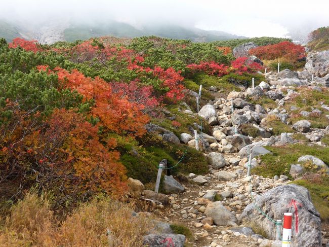 　一度は見てみたかった涸沢の紅葉。念願叶って行くことができました。横尾山荘に連泊して涸沢へは日帰りで往復する計画。しかもその後、乗鞍に移動して、温泉にもゆっくり浸かり、乗鞍の紅葉も楽しむという盛り沢山の旅行です。<br /><br />　その3乗鞍編。上高地から路線バスに乗り、乗鞍高原へ移動。乗鞍高原温泉のみたけ荘に宿泊。翌朝、畳平行きのシャトルバスに乗り、肩の小屋口下車。登山道を下りながら乗鞍の紅葉を楽しみ、位ヶ原山荘まで散策。シャトルバスで乗鞍高原まで戻り昼食を食べ、路線バスで松本へ。松本からは高速バスで帰路につきました。