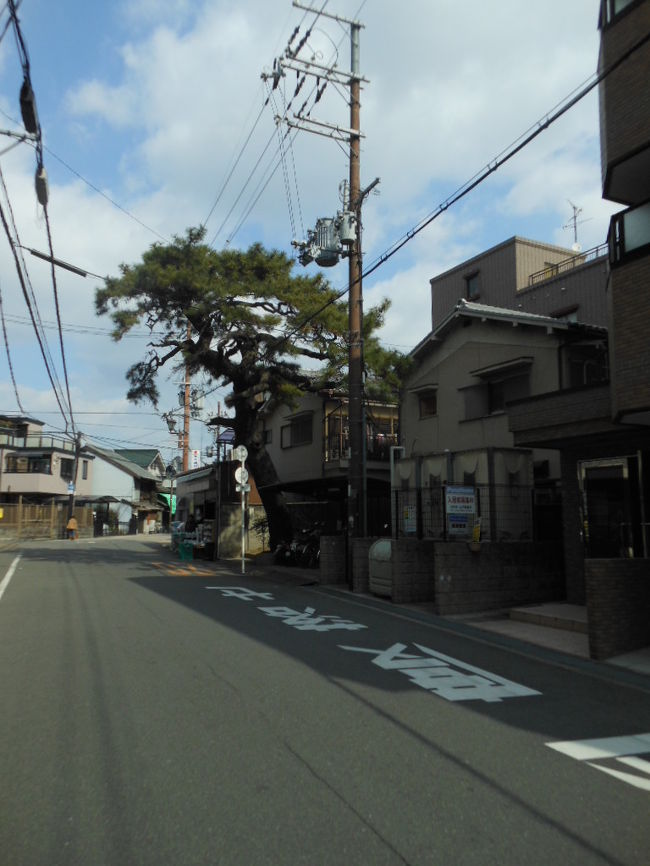 <br />　京・伏見から大阪への京街道の宿場町「枚方宿」<br /><br />　私立枚方宿鍵屋資料館で和紙のひな人形展が開催されていたので<br /><br />　サイクリングしながら淀川河川敷を東へ<br /><br />　家からはノンビリ走っても１時間３０分ほど（往復４７ｋｍ）<br /><br />　運動には丁度いい距離です<br /><br /><br /><br /><br /><br />　表紙　　　　　　　　　　　　　　　　　　　　　枚方・京街道