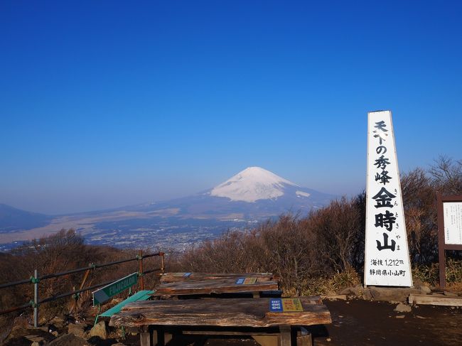 やっと休みが取れて、どこに行こうかなぁ～と。<br /><br />行った事のある山で、またノーマルタイヤで行けるところ＋富士山が見えるところで金時山に。<br />少し暖かくなってきてしまっているので、金時山から見た富士山も春霞だったかも。<br />春近しの兆しなんですね。<br />まつだ桜まつりに立ち寄りましたが、16℃位の気温でした。<br />タイヤの事を気にしないで山行ができるようになりたいです。もうちょっとですね！ <br /><br /><br />金時山へのアクセス<br /><br />東名大井松田ICから県道78号で登山口まで約18Km（Pスペースあります）<br />カーナビセットは足柄万葉公園。<br />ノーマルタイヤで大丈夫でした。