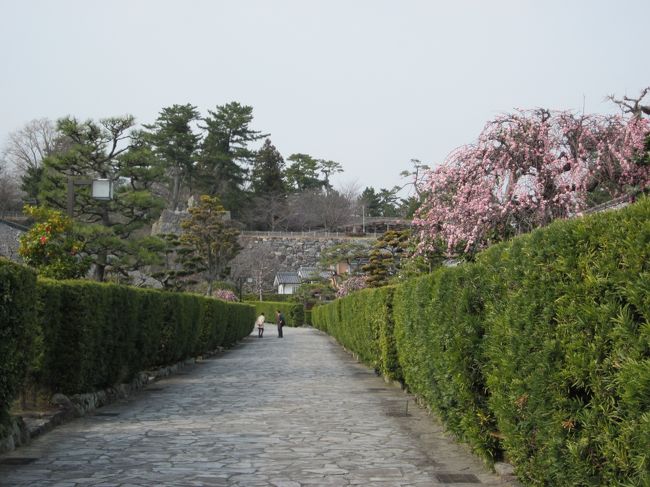 今回は以前からずっと訪館したいと考えていた松浦武四郎記念館～、一般的には北海道を命名した人物として有名ですが、それ以上に探検家としての手記などの方が功績もあって有名なのです。<br /><br />そして、いつも伊勢・志摩へ行く際の通過ばかりで中々ぶらぶら歩きが出来なかった城下町・松坂…、しかし、城下町と共に近代日本での発展に寄与した財閥、三井財閥を築き上げた旧三井家の偉業と功績の方が遥かに大きいのかも知れません。<br />これも松坂商人としての普段からの質素倹約の精神が活きていたからこそなんですね。<br /><br />また、松坂には全国区的な最高牛の松阪牛の生産地でもあり、神戸や近江と並ぶ牛肉のブランンド地、それ以外にも個性的な食材やグルメがいっぱい！。<br />旨いものは地元で聞け！、その法則に従ってその時に決めます～。<br /><br />それでは、行きは手堅く名神・第二名神から伊勢道を走って松阪へ。<br />帰りはのんびりと一般道の国道２３号線から１６３号線で伊賀上野経由で大阪まで。では、まだ冬寒い中ですがグルメを求めてぶらぶら歩きです。