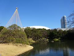 冬晴れの小石川後楽園 ◇ 水戸黄門ゆかりの庭で梅を見よう♪ 