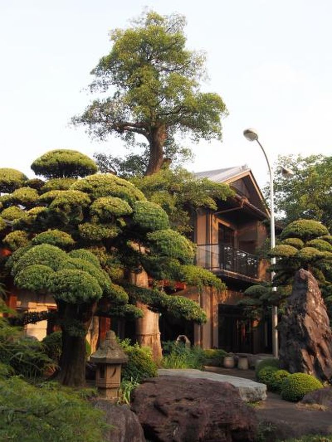 赤ちゃん連れ三世代で日本旅館 銘石の宿 かげつ 石和温泉 山梨県 の旅行記 ブログ By Eperさん フォートラベル