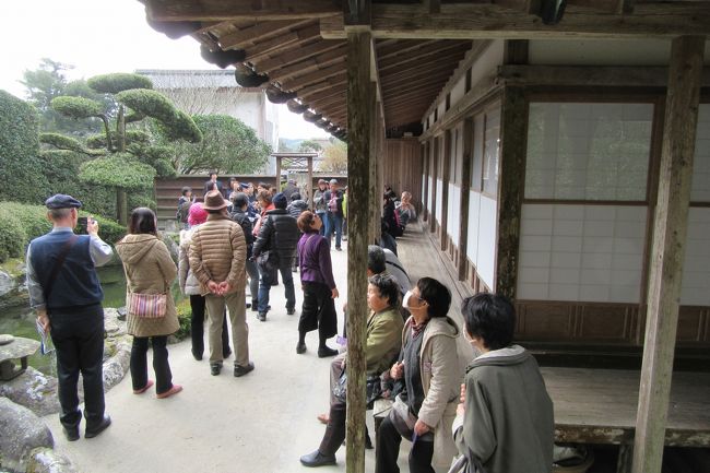 仙巌園観光後に、薩摩の小京都といわれる知覧を訪れた。江戸時代、薩摩藩は領内に113の外城を設け、地頭や領主の屋敷である御仮屋を中心に、麓と呼ばれる武家集落を作り、藩士に半農半士の生活を送らせた。知覧はその外城の一つであり、麓では御仮屋を中心に、長さ780mのメインストリートである馬場通り(大路)沿いに武家屋敷が並んでいる。現在、知覧の武家屋敷群の七つの庭園が国の文化財指定を受けている。また、馬場通り(大路)はその景観から「日本の道１００選」にも選ばれている。<br />表紙の写真は森重堅邸の庭園を観賞している旅行団一行である。