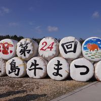 冬から春へ　八重山　島めぐり