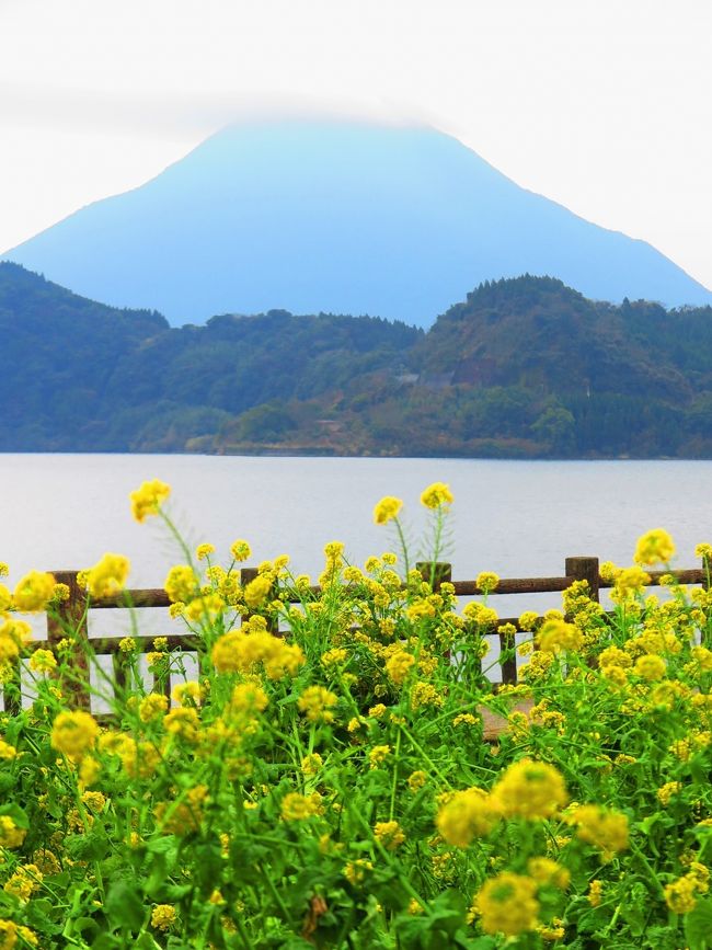 池田湖（いけだこ）は、鹿児島県の薩摩半島南東部にある直径約3.5km、周囲約15km、ほぼ円形のカルデラ湖。九州最大の湖である。湖面の標高は66m、深さは233mで、最深部は海抜-167mとなる。湖底には直径約800m、湖底からの高さ約150mの湖底火山がある。池田湖を含む窪地地形は池田カルデラと呼ばれている。古くは開聞の御池または神の御池と呼ばれており龍神伝説がある。約5500年前、阿多カルデラに関連した火山活動があり、合計約5km3の軽石や火山灰を噴出した。噴出物の抜けた後に地面が落ち込むことによって池田カルデラが形成され、カルデラの底に雨水が溜まることによって池田湖が形成された。ほぼ同時期に山川湾、成川盆地、鰻池、池底、松ヶ窪などの地形も形成されており、これらの噴火口群とともに池田山川としてランクCの活火山に指定されている。（フリー百科事典『ウィキペディア（Wikipedia）』より引用）開聞岳（かいもんだけ）は、鹿児島県の薩摩半島の南端に位置する標高924mの火山。1964年（昭和39年）3月16日に、霧島屋久国立公園に指定された 。山麓の北東半分は陸地に、南西半分は海に面しており、見事な円錐形の山容から別名薩摩富士とも言う。所在地は鹿児島県指宿市。4,000年前頃活動を開始し、有史以降の噴火記録は6世紀ごろからあり、貞観16年3月4日（ユリウス暦874年3月25日）と仁和元年（885年）7月・8月に大噴火を起こした。このとき、山頂に溶岩円頂丘が噴出し、現在の二段式の山容となった。山体は主に粘性の少ない玄武岩だが山頂付近の溶岩ドームは安山岩でできている。（フリー百科事典『ウィキペディア（Wikipedia）』より引用）池田湖パラダイス　については・・http://www3.synapse.ne.jp/ikepara/zenkannai/zenkei.htmサンサン南九州３日間、南国ムードの鹿児島・宮崎へ！国の「地域活性化・地域住民生活など緊急支援交付金」を鹿児島県より12,000円いただいて実現したコース。 クラブツーリズム　35,000円3 指宿温泉-【約60分】-池田湖(20)【菜の花観賞】-知覧(100)【街並みを各自散策/カンパチの知覧茶しゃぶしゃぶ定食の昼食】-【約70分】-仙巌園(50)【仙巌園と尚古集成館を見学】-【約40分】-蒲生の大楠(15)- -【約40分】-鹿児島空港【18:25発】--羽田空港【19:55着】 