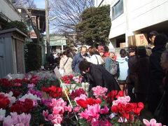 世田谷ボロ市 2006/01/15