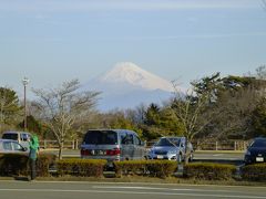 2016早春の伊豆　①ラフォーレ修善寺