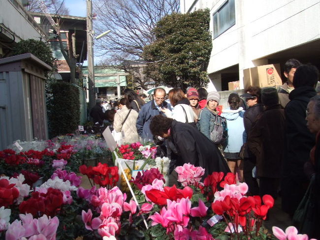 世田谷ボロ市 2006/01/15<br /><br />◆世田谷ボロ市は毎年1月15・16日と12月15・16日に開催されます。<br />開催時間:午前9時〜午後8時 <br />場所:世田谷区ボロ市通り <br />アクセス:東急世田谷線世田谷・上町駅下車<br /><br />◆世田谷ボロ市は、天正6年に小田原城主北条氏政がこの地に楽市を開いたのが始まりで、世田谷を代表する伝統行事として、現在に至っています。最初は古着や古道具など農産物等を持ち寄ったことから「ボロ市」という名前がついたらしいですが、豪徳寺育ちの私は幼少の頃、親や近所のおばさんに連れられてよく行きました。確かに、古着や植木、カレンダー、ゴザなどが確かに売られていました。父がよく植木を買ってきたのを思い出しました。