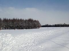 冬のモエレ沼公園