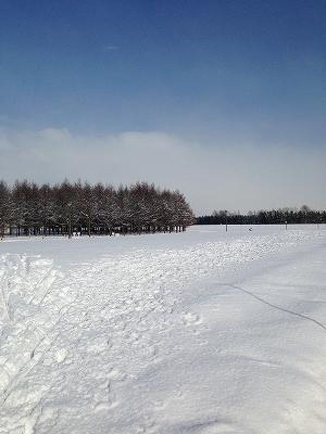 一面真っ白な冬のモエレ沼公園。<br />夏のようには歩き回れないけれど、どこもかしこも絵になる公園。<br /><br />