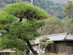 名勝　仙巌園　（島津氏の別邸跡・庭園）　☆正門・千尋厳の岩・曲水の庭など一巡