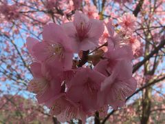 久しぶりの熱海　両家の新年会旅行３