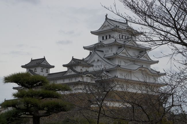 本来の目的地、姫路です。もちろん、お城行きます。何度も通りかかり、ちうか、18切符移動では乗り継ぎで毎度下車するのに、平成の大修理中でしたんで。<br /><br />あとは、名物？のえきそばをお昼ごはんに。