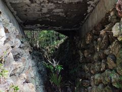 橋の下の「死者の道」と龍馬帰国時の滞在所跡と五台山の猫