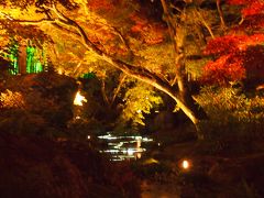 秋の京都2013　一人旅その２　天龍寺、渡月橋、常寂光寺、宝厳院