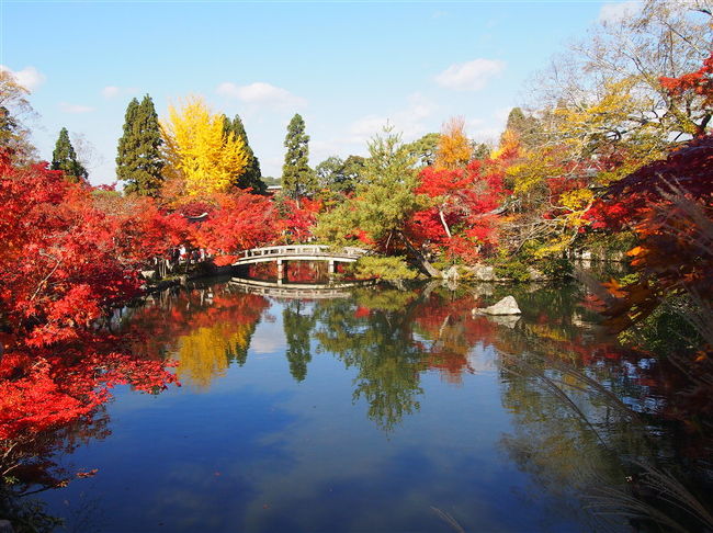 今年も名古屋から在来線を乗り継ぎ、京都の紅葉を見に行きました！<br />今年は夏の猛暑で色づきがイマイチ？という情報があったので若干心配でしたが、それでもやっぱり綺麗でした＾＾<br /><br />◆秋の京都2013　一人旅その２　天龍寺、渡月橋、常寂光寺、宝厳院<br />https://4travel.jp/travelogue/11110419<br /><br />