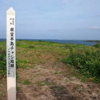 北海道旅行　その１　根室半島チャシ跡群、納沙布岬、東根室駅、車石