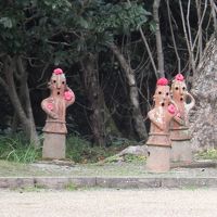 ２月の宮崎、山桜と柑橘の旅　その参