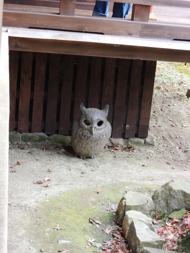 念願の京都一人旅に行ってきました。<br />修学旅行ぶりの京都は、新たな発見が沢山ありました☆<br /><br />●旅程●<br />12月4日　清水寺～八坂神社<br />12月5日　知恩院～銀閣寺<br />12月6日　南禅寺～上賀茂神社<br />12月7日　下鴨神社～北野天満宮<br />12月8日　東寺～伏見稲荷神社