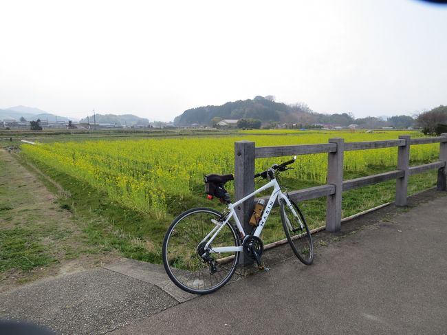 　高取町から県道を走り。<br /><br />　稲渕棚田へその後、石舞台から岡寺・犬養万葉記念館など明日香村をノンビリと<br /><br />　サイクリングして来ました。<br /><br />　予定時間を約２時間オーバーしてしまい、帰宅したら午後８時すぎ。<br /><br />　気温も高くなり少し走りずらい一日でした。<br /><br /><br /><br /><br />　表紙　　　　　　　　　　　　　　　　　　　　　甘樫の丘と菜の花畑　　　　　　