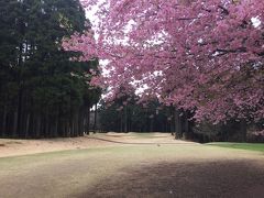 フランス風クラブハウスの「山田ゴルフ倶楽部」…桜が満開でした！