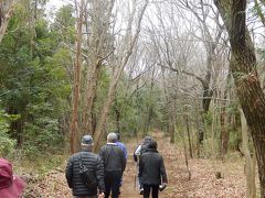 森のさんぽ道〔仮・川越森林公園〕を歩く