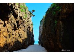 のんびり沖縄本島への旅　～３日目～