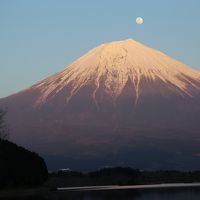 田貫湖から富士を望む・満月に近い月が富士のピークから