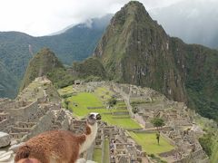 Machu Picchu② (Peru)