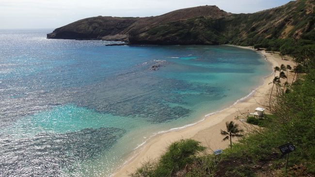 ご訪問ありがとうございます(^ ^)<br /><br />「オアフ島の旅」旅行記の03は3日めに行ったハナウマ・ベイと、6日め「プランテーション・ビレッジとモアナルア・ガーデン」バスツアー終了後に行ったマカプウ岬のトレッキングです。どちらもオアフ島の南東部の端の方ということで、同じ旅行記にまとめました。<br />入場していませんが、「シーライフ・パーク」もこのエリアにあります。<br /><br />トラベラーのみなさんの旅行記やガイドブックの写真を見てとても楽しみにしていたハナウマ・ベイですが、ビーチはなぜかクローズドでシュノーケリングはできず。でも施設自体は営業していたので、景色は楽しむことができました。その後歩道がないハイウェイをてくてく歩いてサンディ・ビーチパークへ。途中には大きな岩場に波がぶち当たるダイナミックな景色が続きました。ワイキキに戻って夜はヒルトン・ハワイアンビレッジの花火。<br /><br />そして少し時間があきますが、6日め午前のバスツアーから帰ってきたあと、オアフ島の東端部に当たるマカプウ岬のトレッキングコースへ。大きな海とダイナミックな景色が楽しめただけでなく、かなり遠かったもののクジラも見ることができてびっくりしました(^ ^)