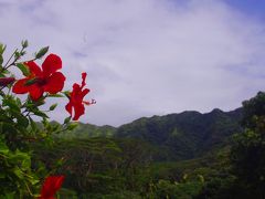 ハワイの心地よい風と空気を感じながら　マノアの滝トレッキング１～２日目