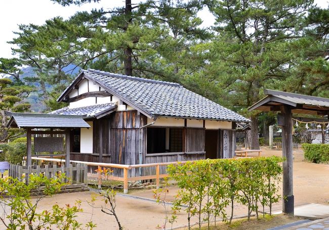 ツアー２日目は、松陰神社参拝からスタートしました。その後、明倫館跡、萩城下町を散策し、青海島、瑠璃光寺を巡りました。本編は、松陰神社にフォーカスしてレポいたします。萩で３箇所を回れるのは、３日間コースの特権ではないかと思います。しかし、それでも回りきれないのが萩の魅力でもありますが…。因みに、以前参加した２日間コースは城下町散策だけでした。<br />郷土が生んだ名士と言えば、武士であり教育者でもあった吉田松陰が筆頭に挙げられます。松陰は、１８３０（天保元）年に萩藩士の家に生まれ、幼少時から「神童」と呼ばれるほど勉学に通じて才気溢れ、叔父 玉木文之進が開いた私塾「松下村塾」で学びました。九州遊学の後、江戸で思想家 佐久間象山に師事しました。２人は兵学や西洋の学問に関心が高く、松陰は来航したペリー艦隊に密航を企て、象山もこれに関与したと言われています。松陰はこの一件で萩へ送還され幽閉されますが、出獄後、松下村塾を引き継ぎ、ここで高杉晋作や伊藤博文といった後に幕末維新に活躍する英傑を多く輩出しました。<br />３０歳の時、老中 間部詮勝の暗殺を企てた罪により、江戸で刑場の露と消えました。幕府に反旗を翻す過激な思想家と言われ、時にテロリストとも蔑まれた短い生涯でしたが、熱く徹底的に考えて学び、それを行動に移すというその生き様は、今でも多くの人々に影響を与えています。<br />松陰の思想は弟子たちに連綿と受け継がれ、多くの志士を生み、やがて坂本龍馬の仲介で薩長同盟を締結させ、後に幕府を倒す原動力になりました。門下生たちは明治新政府で要職に付き、師であった松陰を祀るために建立したのが「松陰神社」でした。 松下村塾のあった思い出の場所が、そのまま神社になっています。松陰神社エリアは、多くの志士を輩出した幕末にあって特別な位置を占め、ひときわ光彩を放っています。<br /><br />碑像マップを参照すると効率よく回れます。<br />http://hizou.30maps.com/map/102792<br />＜１日目＞<br />新大阪駅（新幹線）===福山駅---錦帯橋（昼食＋散策）<br />---津和野（案内人と一緒に散策）---萩グランドホテル天空<br />＜２日目＞<br />萩グランドホテル天空---松陰神社（ボランティアの方と一緒に散策）<br />---旧萩藩校明倫館（同じ）---萩城下町（同じ）<br />---蒲鉾店（ショッピング）---海鮮村北長門（昼食）<br />---青海島（クルーズコース・島上陸コース・金子みすゞ記念館コースから選択）<br />---秋吉台---瑠璃光寺---湯本観光ホテル西京（オプション：大谷山荘宿泊）<br />＜３日目＞<br />湯本観光ホテル西京---宮島口===宮島（昼食＋散策：３時間）===宮島口<br />---尾道===千光寺公園（ロープウェイ）---千光寺公園（山頂）<br />---福山駅（新幹線）===新大阪駅