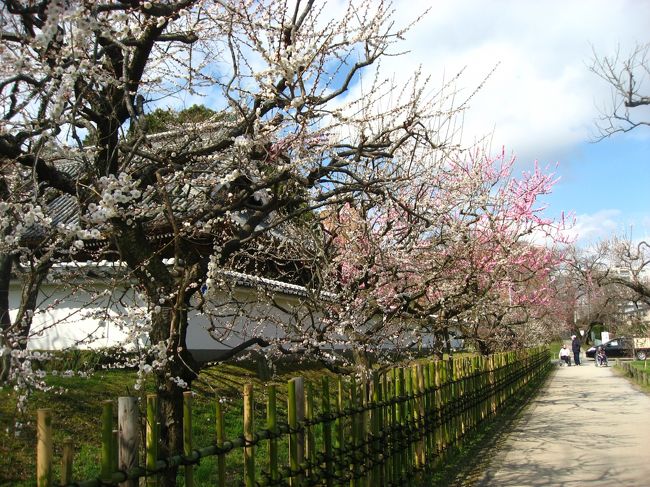 ’１６　偕楽園梅まつり＆水戸城址２　弘道館公園＆あんこう鍋