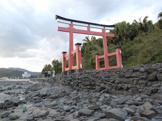 霧島、都井岬、日南を廻ってきました。