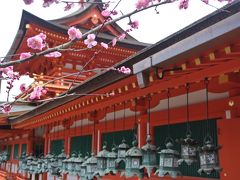 春の訪れを感じて・・歩く奈良