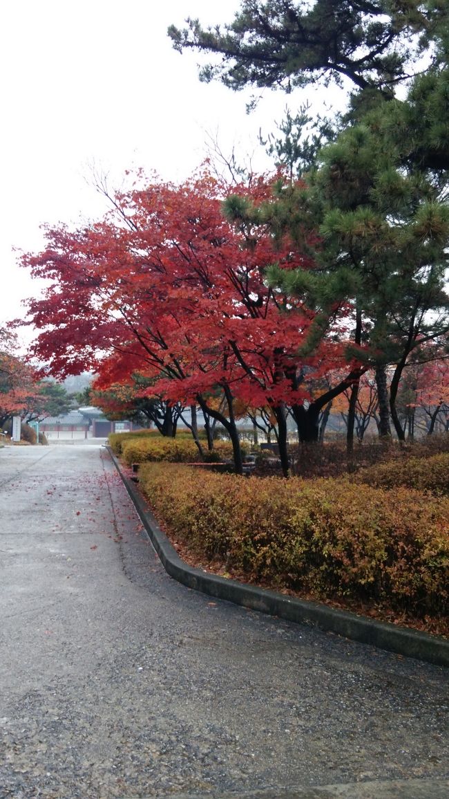 ソウル旅行2014年11月5泊6日　3日目