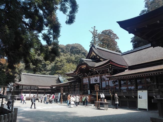 ずっと気になっていた奈良県に行ってきました。<br /><br />東京から新幹線だと、京都駅で降りて電車で一時間で、確かにちょっと行きづらいなあとは思いますが、京都より空いていて、歴史がより古めなのが良かった。<br /><br />宝物殿の仏像とかは京都と同じような歴史ある国宝が見れるし、結構楽しめました。京都に負けず頑張っていただきたい。（誰目線）<br /><br />奈良県に来たのは高校生の時に古墳巡りをして以来だった。<br />桜の時期や紅葉の時期にも来てみたいな?<br /><br /><br /><br />I visited Nara Prefecture, which I have been concerned about for a long time.<br /><br />In an hour by train from Kyoto Station. I think that is hard a little to go,  but, there is no crowd and history was good and more older.<br /><br />you can watch Buddha statue, a national treasure with a similar history of Kyoto.  I hope that Nara will not lose to Kyoto. <br /><br />Nara Prefecture, was since the ancient tomb tour in high school.<br />I also want to go to the timing and foliage season of cherry blossoms -