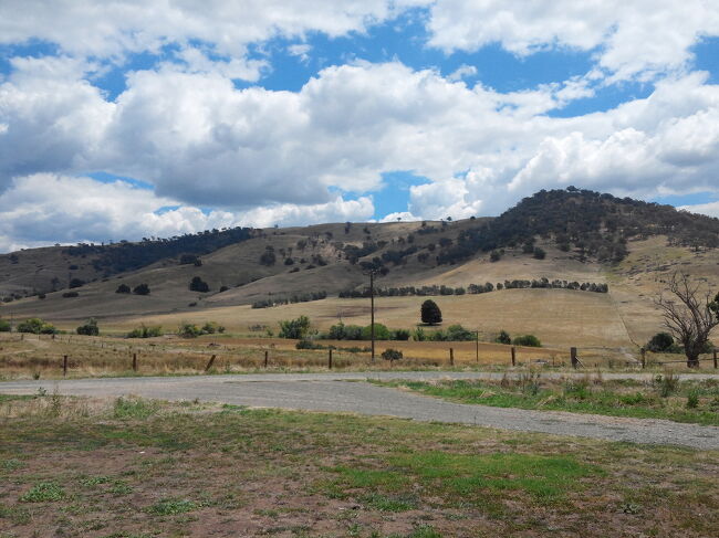 ニューサウスウェールズ州の内陸の町、チュミット（Tumut）へ旅行に行きました。<br />平野が多いオーストラリアには珍しく起伏がたくさんある町チュミット旅行記。
